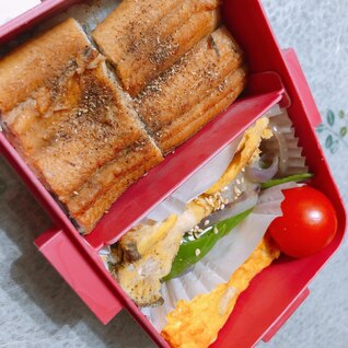 うなぎ弁当‼